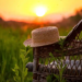 Фото: Shutterstock