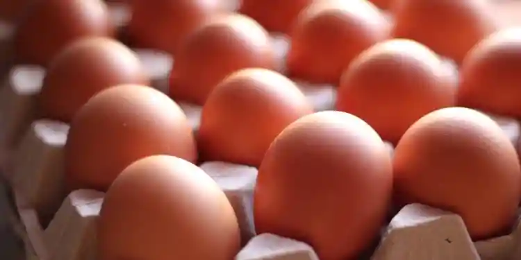 Чем заменить яйца
