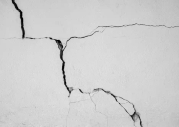 Фото: Shutterstock