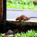 Фото: Shutterstock