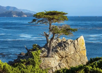 Фото: Shutterstock