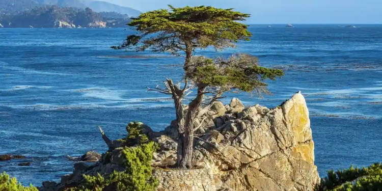 Фото: Shutterstock