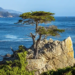 Фото: Shutterstock