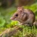 Фото: Shutterstock