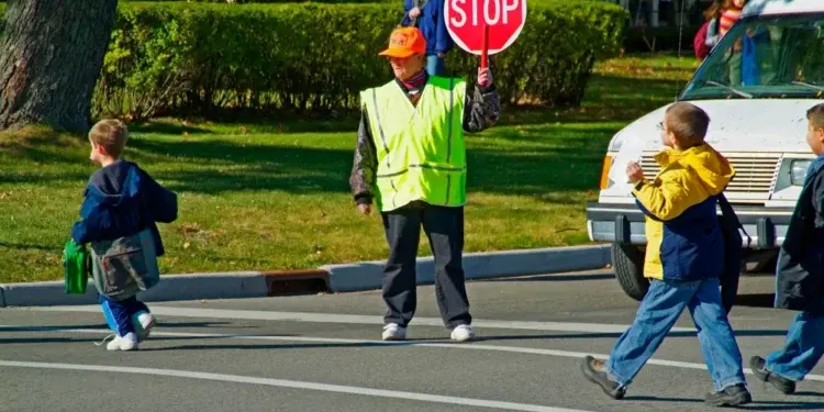 школьный регулировщик