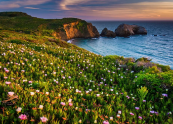Фото: Shutterstock