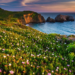 Фото: Shutterstock