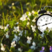 Фото: Shutterstock