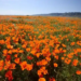 Фото: Shutterstock