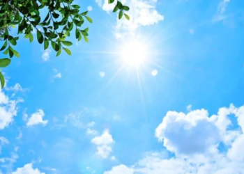 Фото: Shutterstock