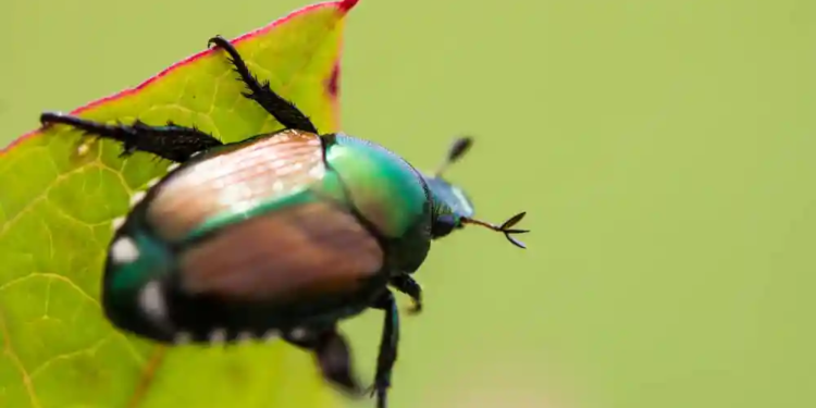 Фото: Shutterstock