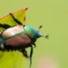 Фото: Shutterstock