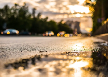 Фото: Shutterstock