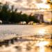 Фото: Shutterstock