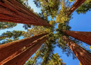 Фото: Shutterstock