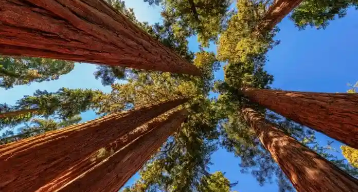 Фото: Shutterstock