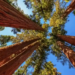 Фото: Shutterstock