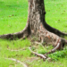 Фото: Shutterstock