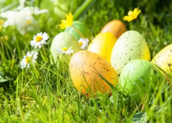 Фото: Shutterstock