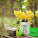 Фото: Shutterstock