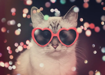 Фото: Shutterstock