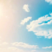 Фото: Shutterstock