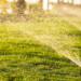 Фото: Shutterstock