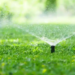Фото: Shutterstock