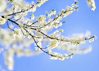 Фото: Shutterstock