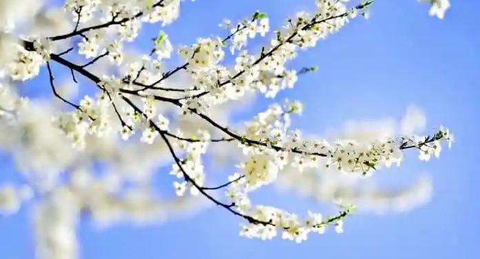 Фото: Shutterstock