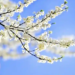 Фото: Shutterstock