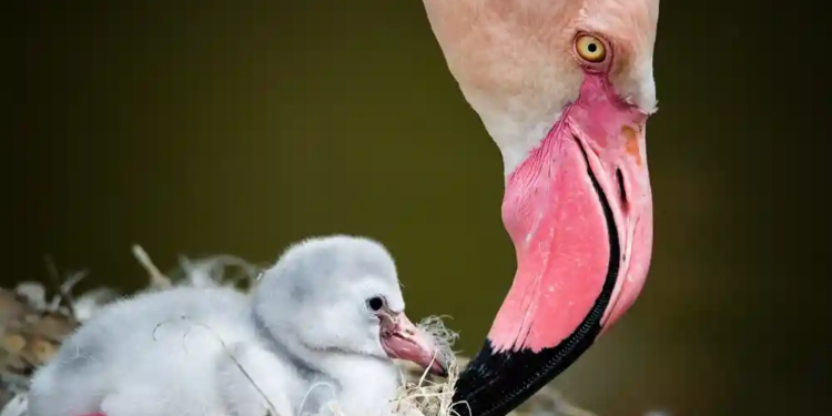 Фото: Shutterstock