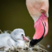 Фото: Shutterstock