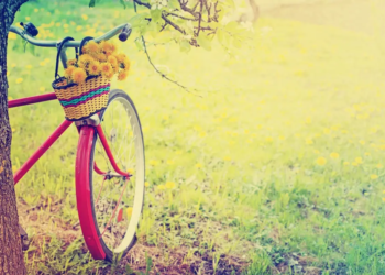 Фото: Shutterstock
