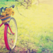 Фото: Shutterstock