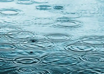 Фото: Shutterstock