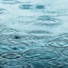 Фото: Shutterstock