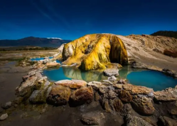 Фото: Shutterstock