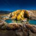 Фото: Shutterstock