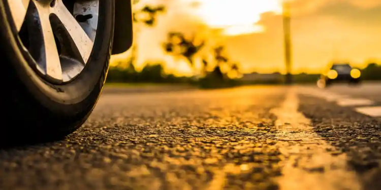 Фото: Shutterstock