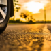 Фото: Shutterstock