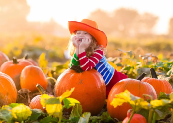 Фото: Shutterstock