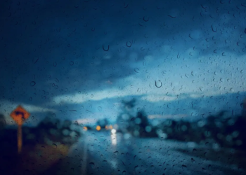 Фото: Shutterstock