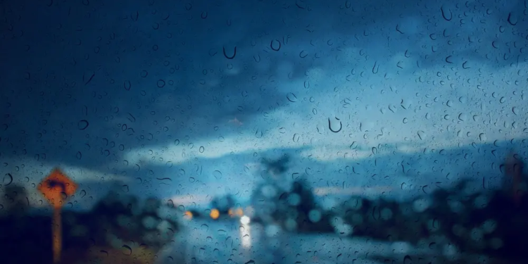 Фото: Shutterstock