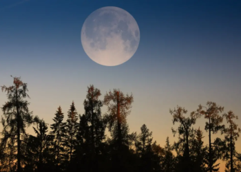 Фото: Shutterstock