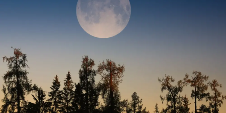 Фото: Shutterstock