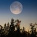 Фото: Shutterstock
