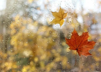 Фото: Shutterstock
