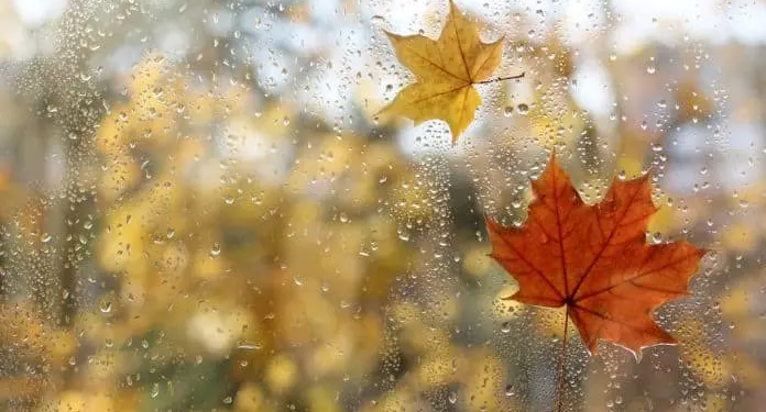 Фото: Shutterstock