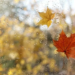 Фото: Shutterstock
